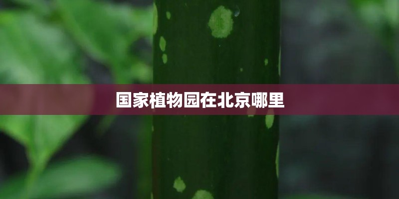 国家植物园在北京哪里 国家植物园在北京哪里