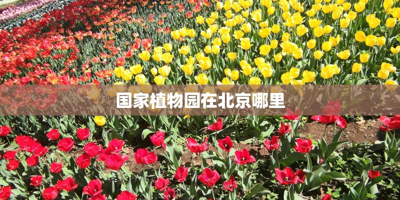国家植物园在北京哪里 国家植物园在北京哪里