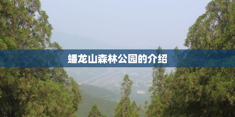 柬埔寨女王宫和崩密列哪里更好值得去 柬埔寨女王宫和崩密列哪里更好值得去
