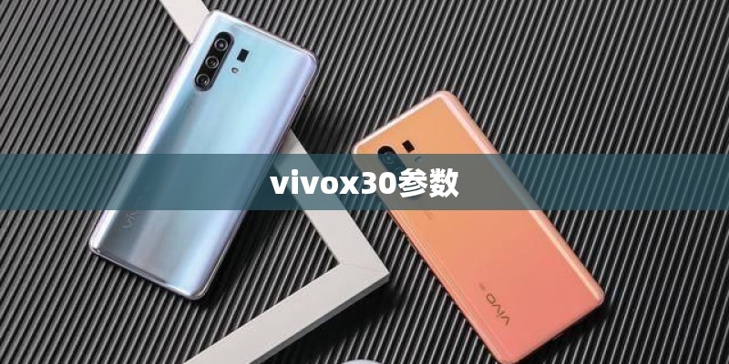 vivox30参数