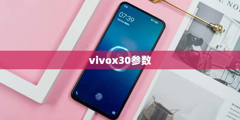 vivox30参数