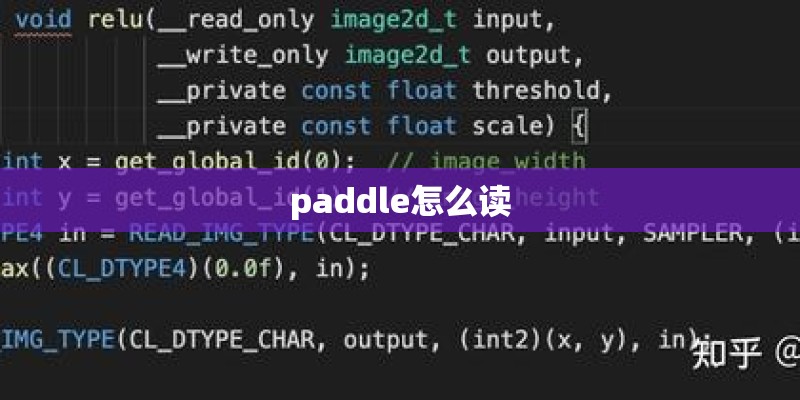 paddle怎么读 paddle怎么读