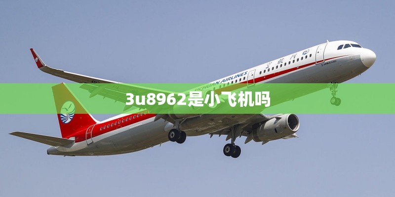 3u8962是小飞机吗