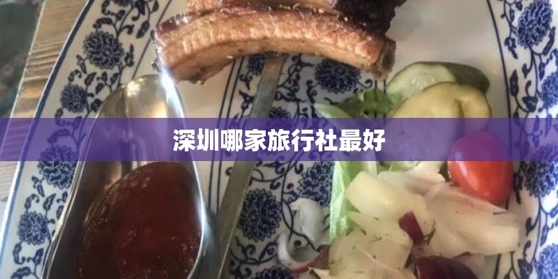 深圳哪家旅行社最好 深圳哪家旅行社最好