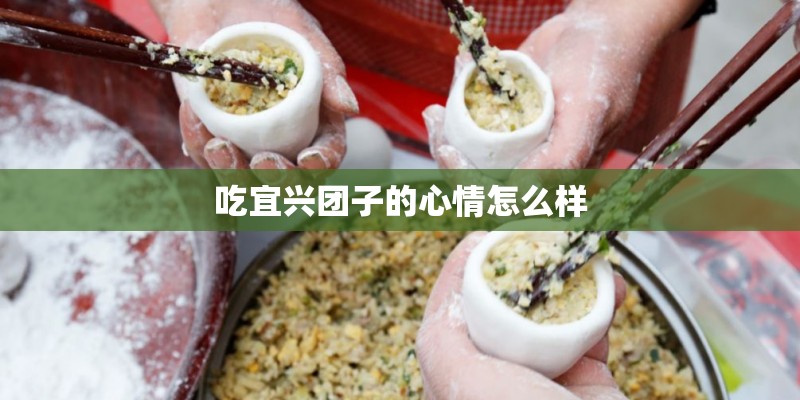 吃宜兴团子的心情怎么样