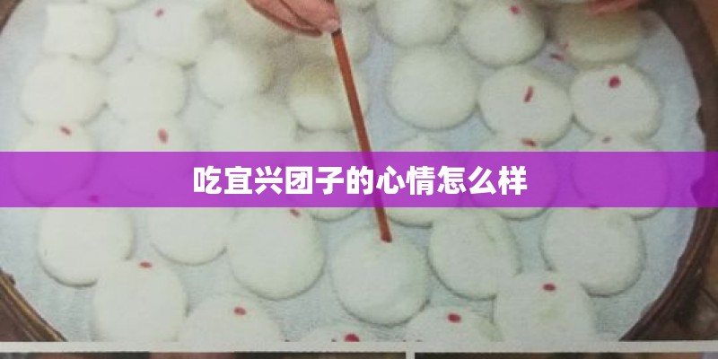 吃宜兴团子的心情怎么样