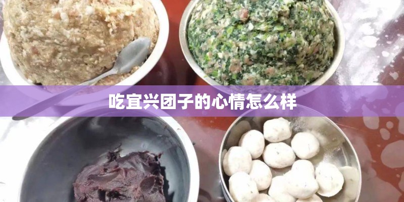 吃宜兴团子的心情怎么样
