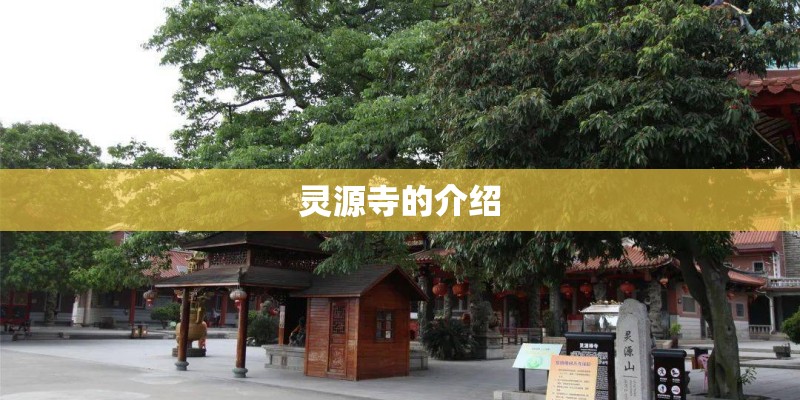 关于诺基亚N系列手机的编号