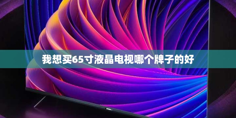 我想买65寸液晶电视哪个牌子的好