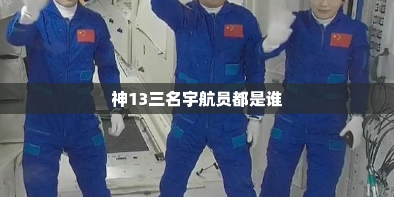 神13三名宇航员都是谁