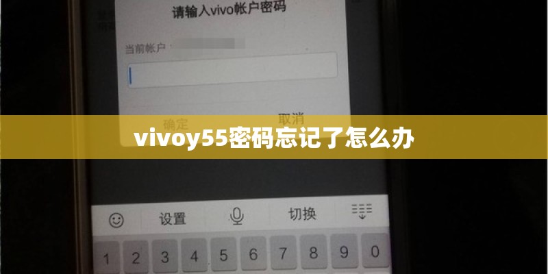 vivoy55密码忘记了怎么办
