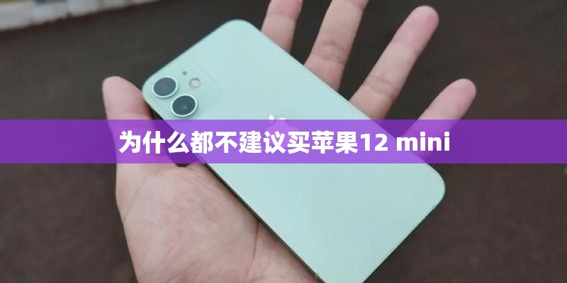 为什么都不建议买苹果12 mini