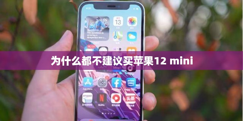 为什么都不建议买苹果12 mini