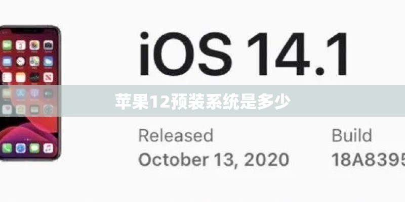 苹果12预装系统是多少 苹果12预装系统是多少