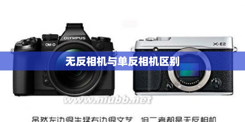 无反相机与单反相机区别