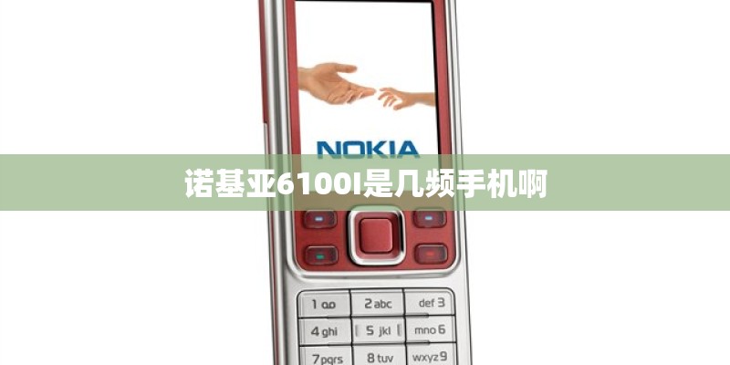 诺基亚6100I是几频手机啊