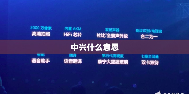 中兴什么意思