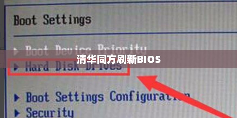 顾村公园在什么路上多少号