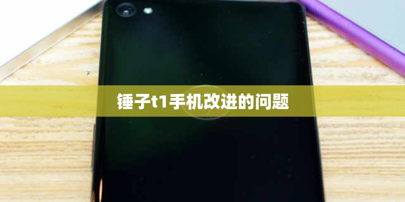 泰迪狗发烧怎么办？