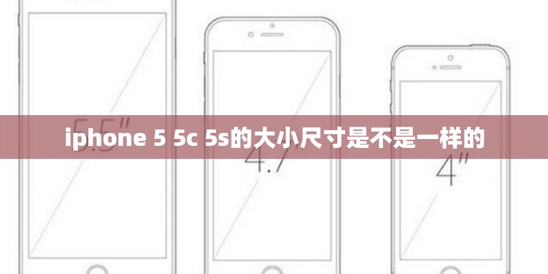 樊振东为什么会被日本的媒体称之为乒乓球神童？
