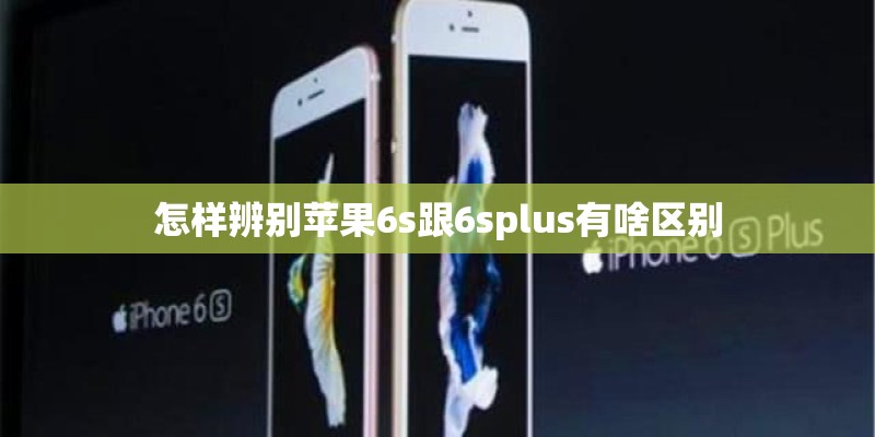 iphone 5 5c 5s的大小尺寸是不是一样的