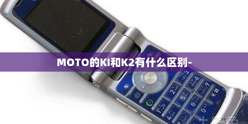 l加藤美优乒乓球底板