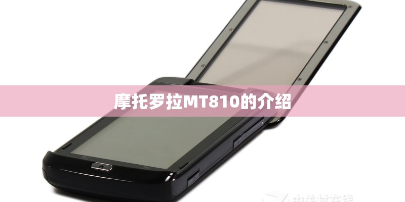 羽毛球的形状是球对吗