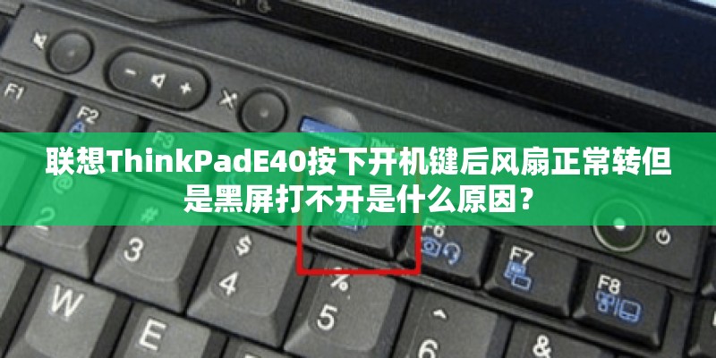 什么菜一次种植永久收获_1
