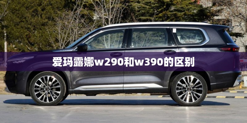 爱玛露娜w290和w390的区别