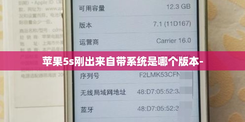 中国与欧美电子商务的发展
