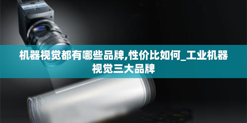 机器视觉都有哪些品牌,性价比如何_工业机器视觉三大品牌