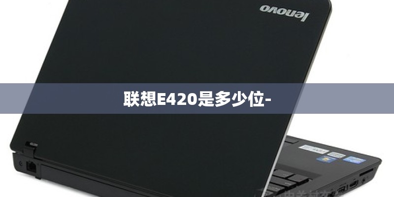 联想E420是多少位-