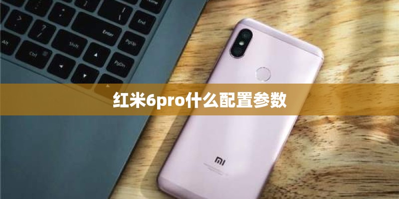 怎么让狗子知道我是老大