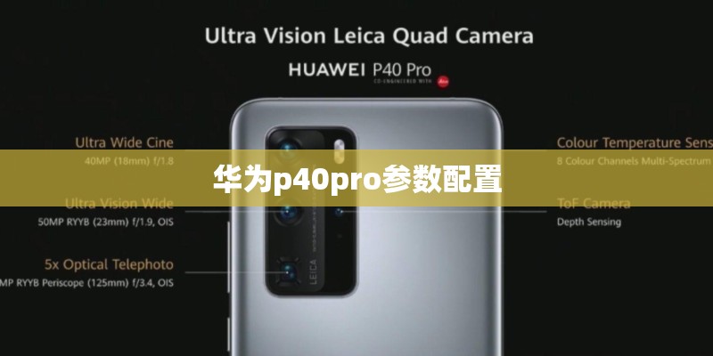 苤蓝怎么种植