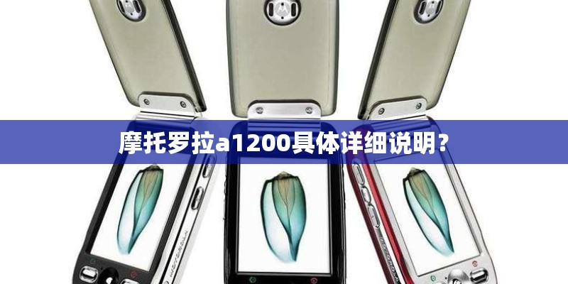 灰鹦鹉需要多久才补钙