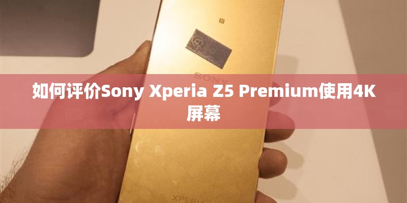 索尼w170、w290、w300哪款相机性能好些？