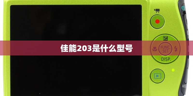 佳能203是什么型号