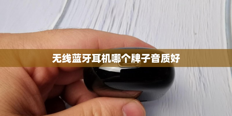 夏新属于什么档次的品牌