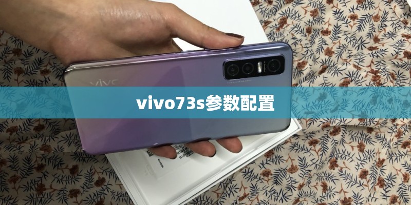 vivo73s参数配置
