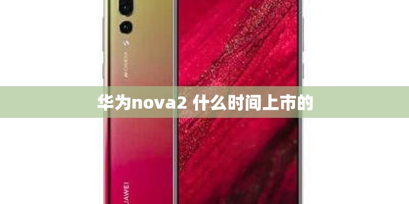 诺基亚N96的标准配置