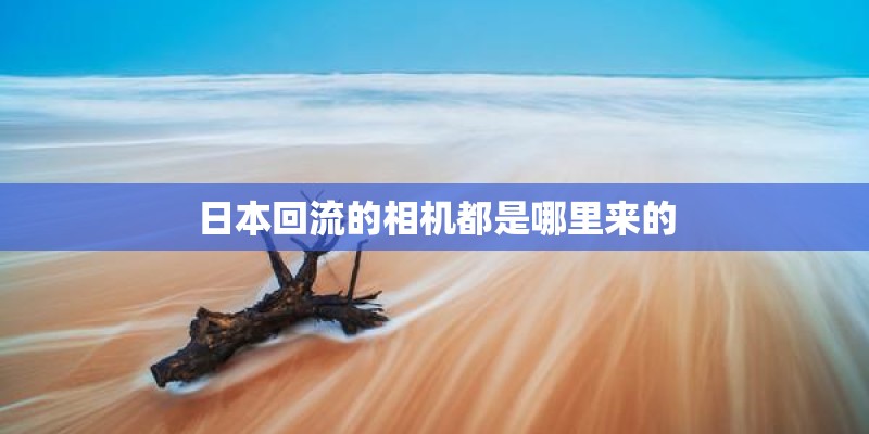 日本回流的相机都是哪里来的