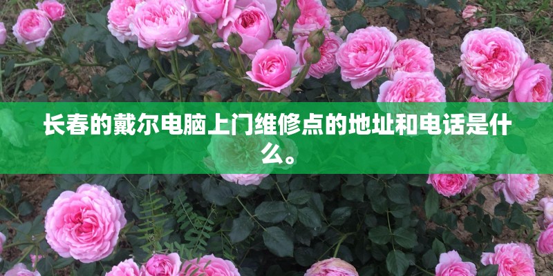 长春的戴尔电脑上门维修点的地址和电话是什么。