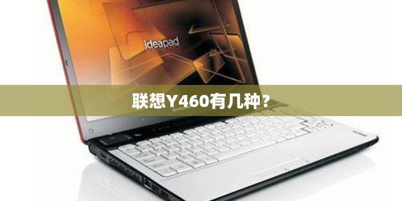 联想Y460有几种？