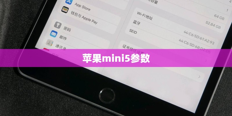 苹果mini5参数