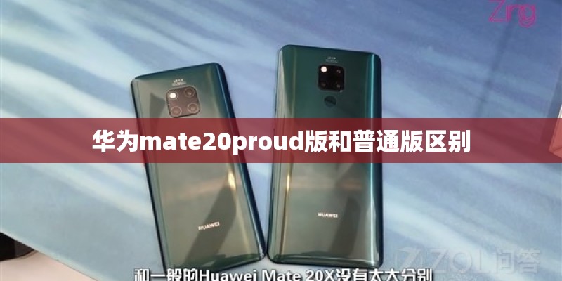 华为mate20proud版和普通版区别