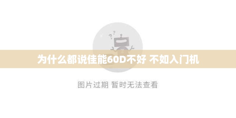 为什么都说佳能60D不好 不如入门机