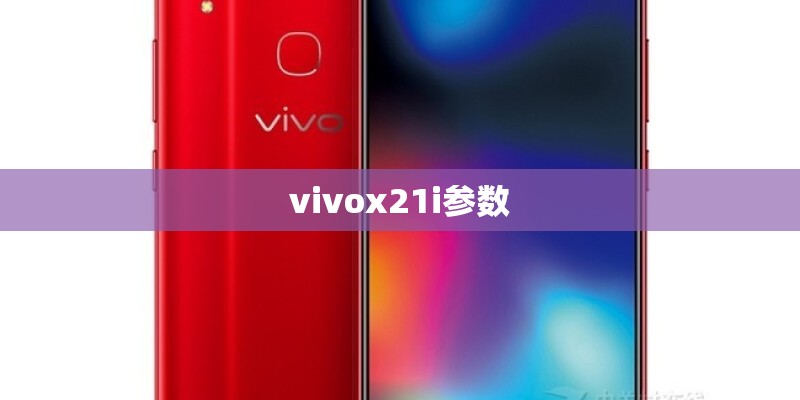 vivox21i参数