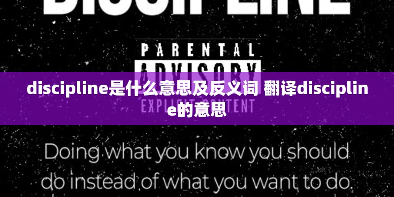 discipline是什么意思及反义词 翻译discipline的意思