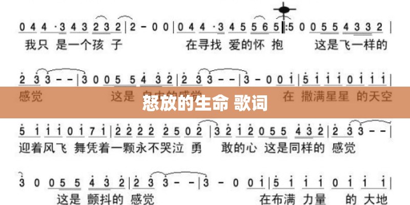 怒放的生命 歌词