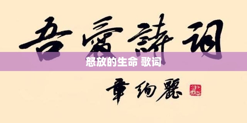 怒放的生命 歌词